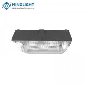 LED-lichtkap CNPA 100W