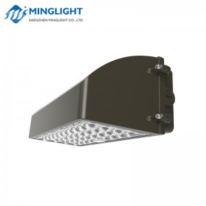 LED Wall Pack Light WPC2 42W
