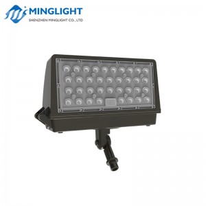 LED Wall Pack Light WPC2 80W